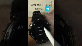 Amazfit T-Rex 2 приём фотки в сообщении Telegram 