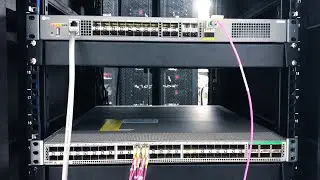 Configuration of 40G QSFP+ to 4x 10G SFP+ on FS and Cisco Switch | FS