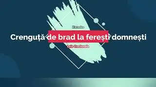 Crenguta de brad la feresti domnesti karaoke)