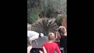 zoo 008