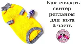 Как связать свитер регланом для кота  2часть