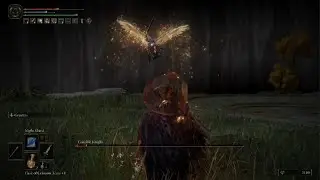 ELDEN RING- Crucible Knight Boss Fight