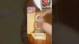 packing fake order video #beautiful #cute #viral #craft #squishy #trending#shorts 💫🌸💨