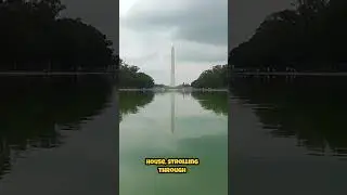 Top 5 Mind Blowing Things to Do in Washington DC in 2024 | #travelvlog #usa #america #washingtondc