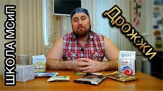 Yeast - theory from the channel Territory Borisych
