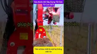 Sáu Bước Để Xây Dựng Tài Sản Từ Con Số 0