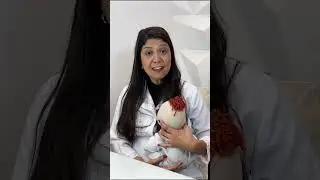 Cólica no bebê Como aliviar o desconforto do seu pequeno tesouro