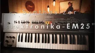 ELEKTRONIKA EM25 - Vintage Analog String synthesizer USSR Soviet Russian