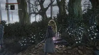 Bloodborne Чаша для легкого Фарма отголосков крови глиф. Изи фарм без сражения