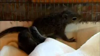 24 March 2012 Update on Paralyzed Boy.wmv