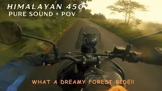 Wild dreamy ride through forest! | Himalayan 45O | Pure Sound | POV |