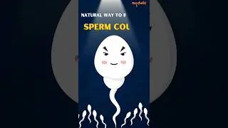 Natural Ways To Improve Sperm Count. #sperm #shorts #ashwagandha #fertility