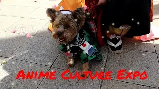 Anime Culutre Expo 2021