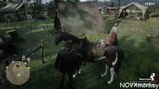 The Ballad of NOVAmonkey | Day 2