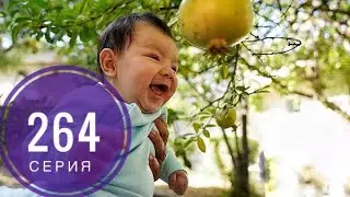 КЛЯТВА 264 серия русская озвучка {ДАТА ВЫХОДА И АНОНС} / Yemin 264. Bölüm