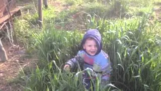 Лев с бабушками