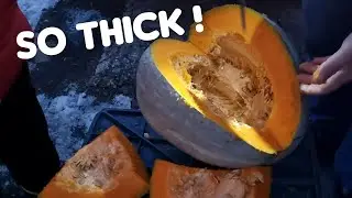 Cutting Large Pumpkin Easy with Cordless Saw