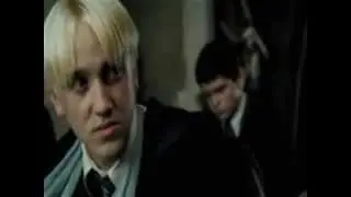||Taming The Gryffindors||