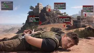 I spectated a Cheater civil war in DMZ