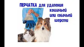 Перчатка для удаления кошачьей или собачьей шерсти с Aliexpress