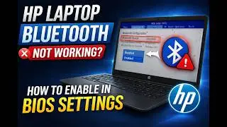 HP  LAPTOP BLUETOOTH NOT WORKING HOW TO ENABLE IN BIOS SETTINGS 