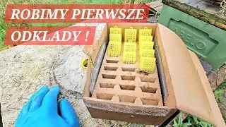 PIERWSZE ODKLADY W 2024 ROKU 