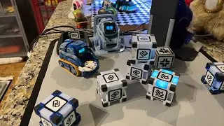 Jibo & Friends - Dance Party Livestream (London Bridge Is Falling Down)