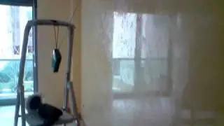 Estuco Mitiko + esencia 529 bote de 25 PARTE 1