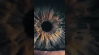 👀👀🎶👀👀