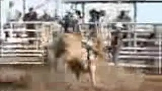 Bucking Bulls