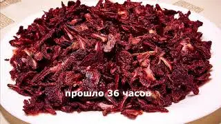 Сушка клубники с дегидраторе "Ярило 7"