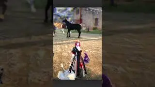 #gameplay