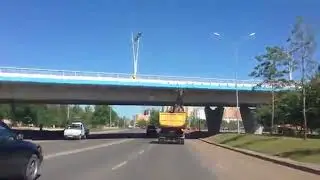 Олень в кузове! и за рулем Прикол