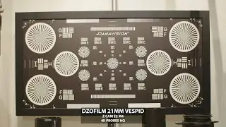Dzofilm Vespid sharpness test | ZCAM E2 M4
