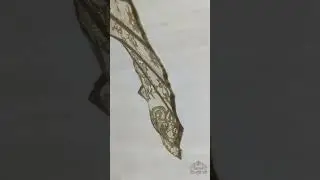 Корсет прозрачный antique gold