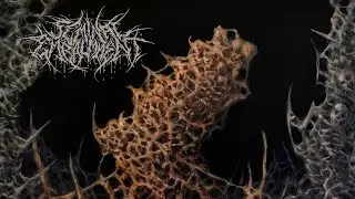 Seminal Embalmment - Seminal Embalmment (FULL ALBUM 2017)