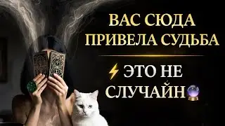 ⚡🔮 Вы нашли это не просто так… Судьба привела вас сюда 🔮⚡