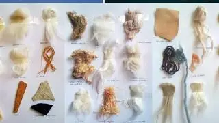 Textile Fiber and Its properties