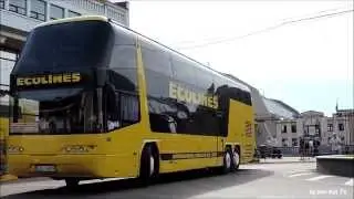 Ecolines