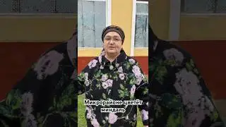 Поехали в микрорайон в Намангане на базар и заглянули в сквер 