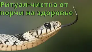 🆘РИТУАЛ-ЧИСТКА ОТ ПОРЧИ НА ЗДОРОВЬЕ С ОБРАТКОЙ🙌🏻✨⚕
