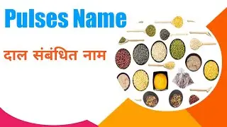 Pulses Name in English with hindi meaning | Dals Name with Hindi