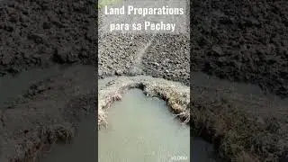 Land Preparation para sa Pechay na Pampahaba ng Buhay #agaderfarmland #shorts #shortsvideo #land
