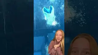 Bottom of the Pool 