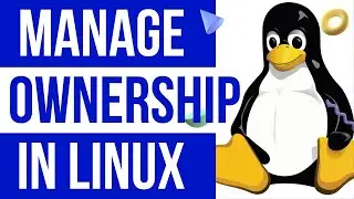 How To Manage Ownership Of Files And Directories In Linux