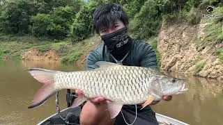 ตกปลากระสูบ