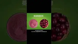 蔓越莓提取物
