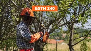 Motosega da potatura GSTH 240