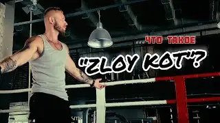 ZLOY KOT - ЧТО ТАКОЕ «ZLOY KOT»?