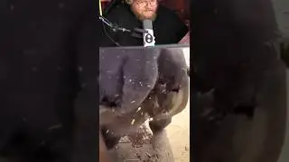 🔥 ТОХА И РОЛИК ПРО НЕГО В TikTok | T2x2